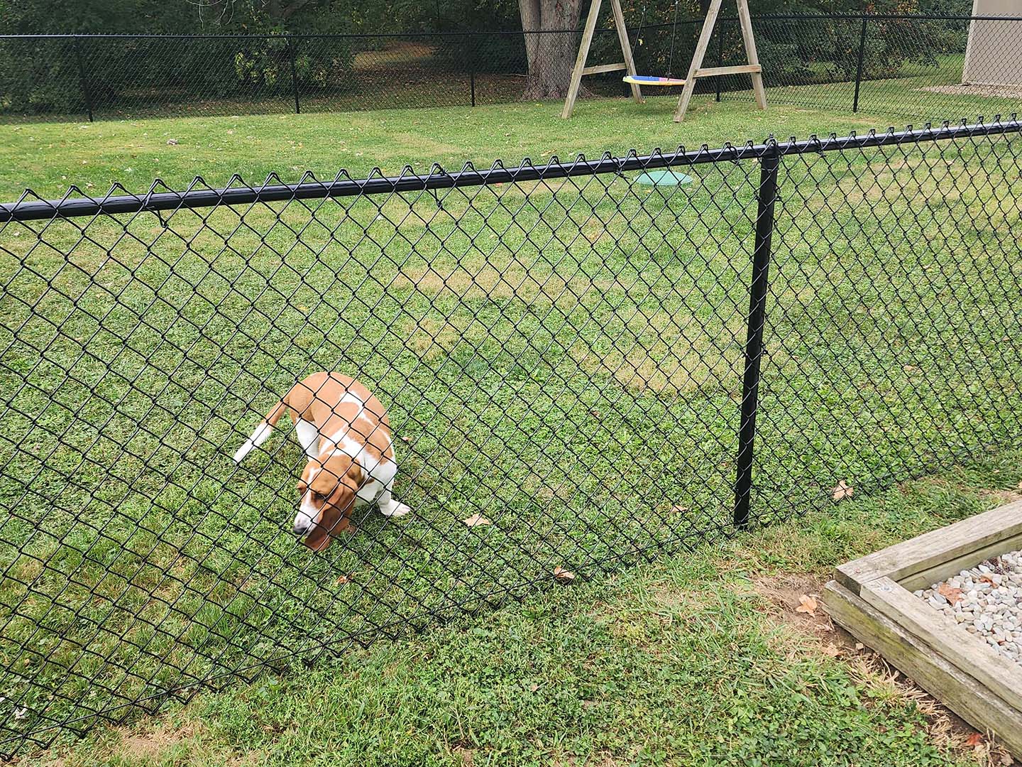 Chain Link Pet Fencing in Indianapolis Indiana