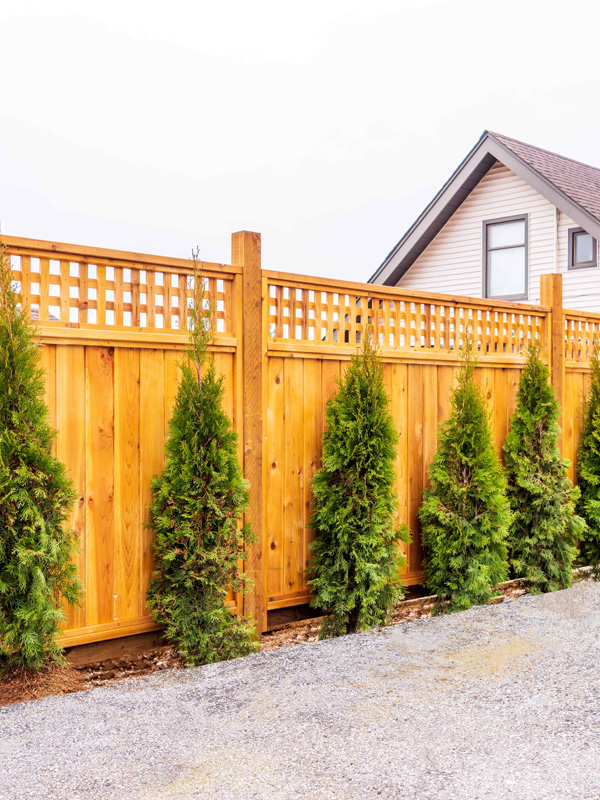 Wood Fence Contractor in Indianapolis